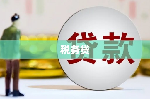 芦洲税务贷