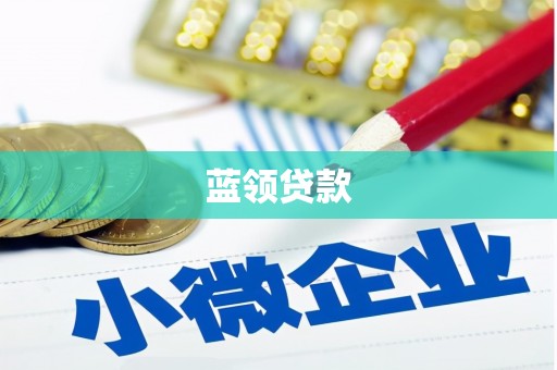 迭部蓝领贷款