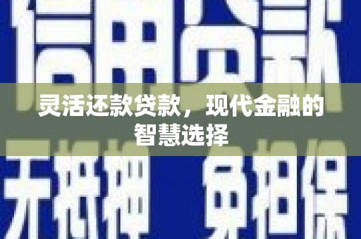 解放灵活还款贷款，现代金融的智慧选择