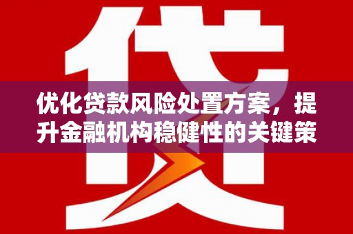 成武优化贷款风险处置方案，提升金融机构稳健性的关键策略