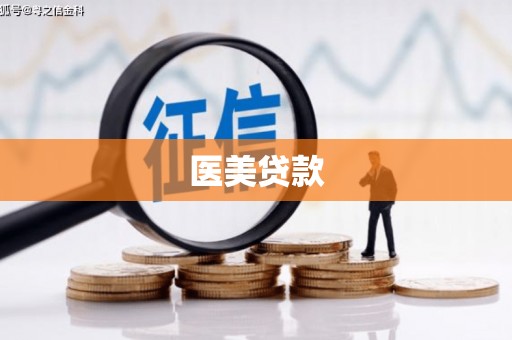 武江医美贷款