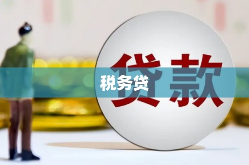 澳门半岛税务贷