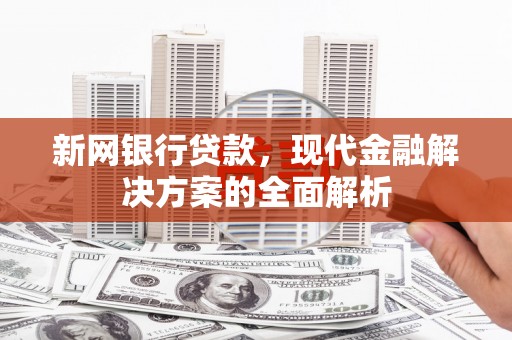 瑞金新网银行贷款，现代金融解决方案的全面解析
