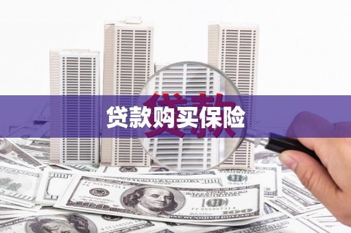 八德贷款购买保险