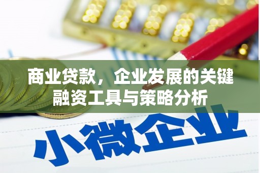神池商业贷款，企业发展的关键融资工具与策略分析