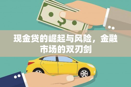 海安现金贷的崛起与风险，金融市场的双刃剑