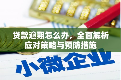 尉犁贷款逾期怎么办，全面解析应对策略与预防措施