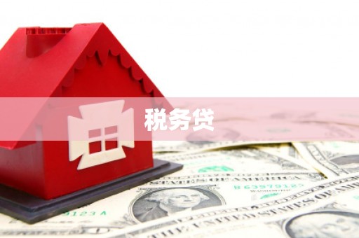 裕安税务贷