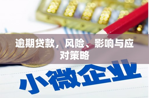 弥渡逾期贷款，风险、影响与应对策略
