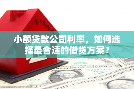上街小额贷款公司利率，如何选择最合适的借贷方案？