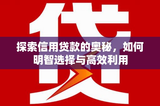 天等探索信用贷款的奥秘，如何明智选择与高效利用