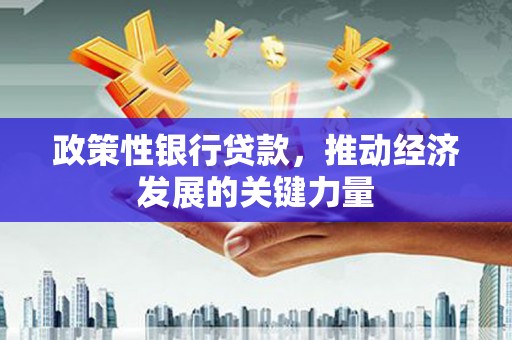 枝江政策性银行贷款，推动经济发展的关键力量
