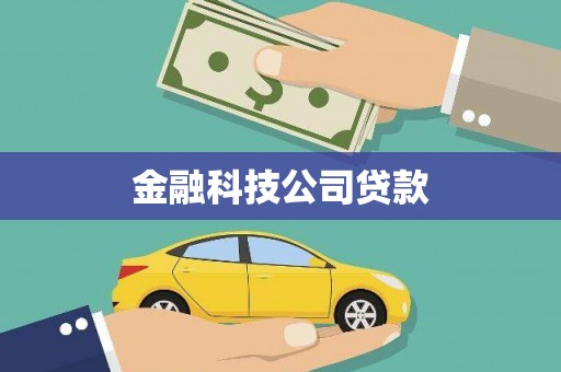 兴隆金融科技公司贷款