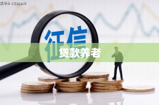 观音贷款养老