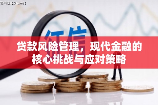 茄萣贷款风险管理，现代金融的核心挑战与应对策略