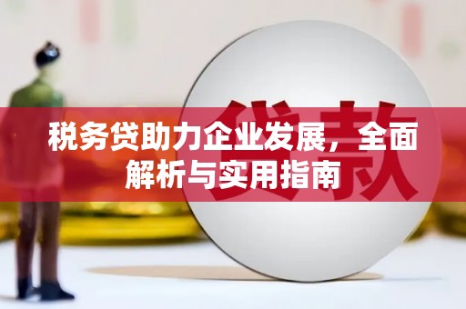 江苏税务贷助力企业发展，全面解析与实用指南