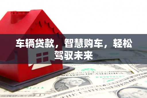 永定车辆贷款，智慧购车，轻松驾驭未来