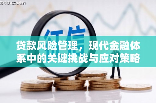 平和贷款风险管理，现代金融体系中的关键挑战与应对策略