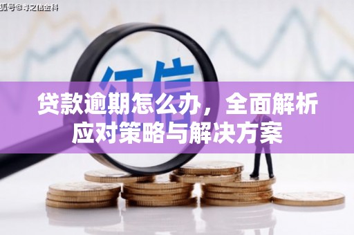 金坛贷款逾期怎么办，全面解析应对策略与解决方案