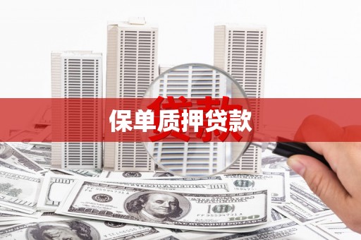 龙崎保单质押贷款