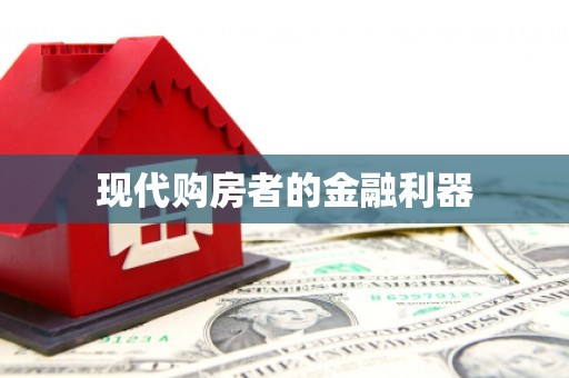 大武现代购房者的金融利器