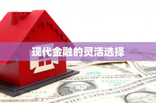 美溪现代金融的灵活选择