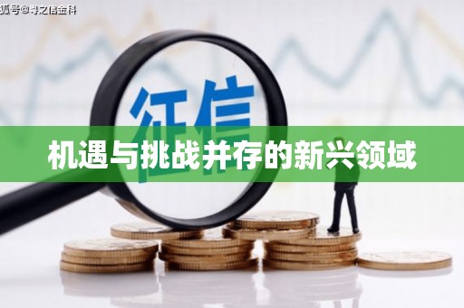 三角机遇与挑战并存的新兴领域