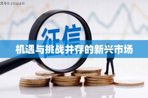 宁夏机遇与挑战并存的新兴市场