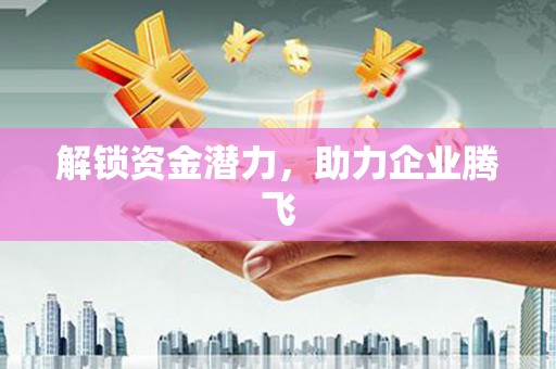 连云解锁资金潜力，助力企业腾飞