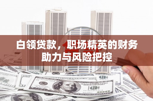 靖西白领贷款,职场精英的财务助力与风险把控 靖西白领贷款,职场精英的财务助力与风险把控